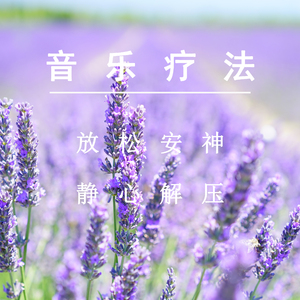 日本污视频网站
